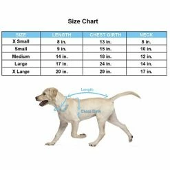 Disney Standing Minnie Fleece Pet Hoodie 4 Disney Standing Minnie Fleece Pet Hoodie -Disney Sales Store unnamed file 1108