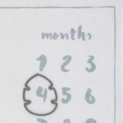 Disney's The Lion King Simba Milestone Baby Blanket -Disney Sales Store unnamed file 1470