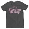 Men's Disney Sleeping Beauty Logo Tee -Disney Sales Store unnamed file 3484