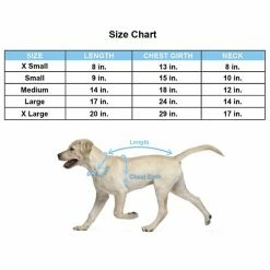 Disney Star Wars Precious Cargo Dog Shirt -Disney Sales Store unnamed file 391