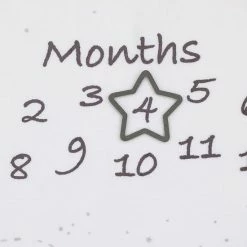 Disney's Dumbo Milestone Baby Blanket -Disney Sales Store unnamed file 536