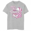 Disney's Alice In Wonderland Boys 8-20 Cheshire Cat Not All There Graphic Tee Athletic Heather -Disney Sales Store unnamed file 6965