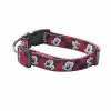 Disney's Mickey Mouse Dog Collar