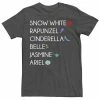 Men's Disney Princess Six Princesses Names & Symbols Tee -Disney Sales Store unnamed file 863